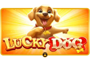 Người chơi tham gia phòng Bingo trực tuyến trên điện thoại tại Việt Nam